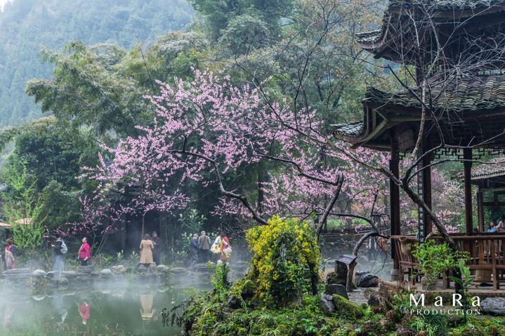 进入最爱的人欺骗了我,还能原谅吗?,开启知识星球平台的独特之旅!